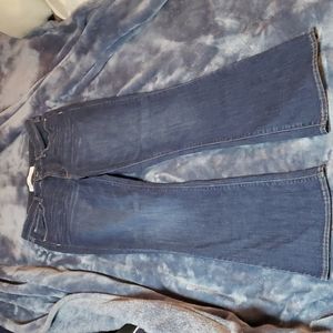 Signature by Levi Strauss womens midrise boot utility jeans